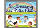 Le Dressing des petits chats